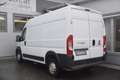 Fiat Ducato Ducato Maxi 35 L2H2 Weiß - thumbnail 3
