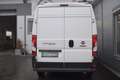 Fiat Ducato Ducato Maxi 35 L2H2 Weiß - thumbnail 4