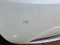 Lancia Ypsilon 1.2 Gold 69cv Bianco - thumbnail 7