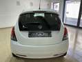 Lancia Ypsilon 1.2 Gold 69cv Bianco - thumbnail 5
