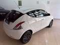 Lancia Ypsilon 1.2 Gold 69cv Bianco - thumbnail 4