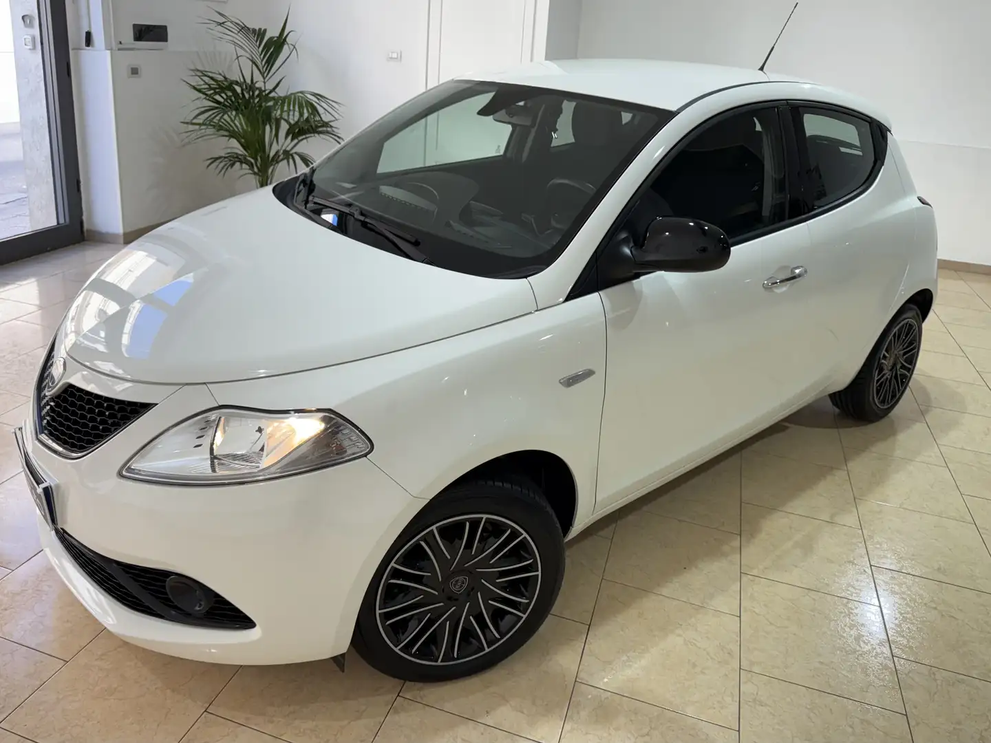 Lancia Ypsilon 1.2 Gold 69cv Bianco - 1