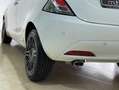 Lancia Ypsilon 1.2 Gold 69cv Bianco - thumbnail 8