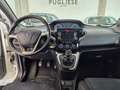 Lancia Ypsilon Ypsilon 1.0 firefly hybrid Gold Top!! - thumbnail 8