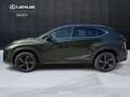 Lexus NX 300 300h 2.5 Premium 4wd cvt Grün - thumbnail 3