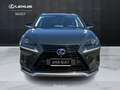 Lexus NX 300 300h 2.5 Premium 4wd cvt Grün - thumbnail 13