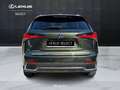 Lexus NX 300 300h 2.5 Premium 4wd cvt Grün - thumbnail 12