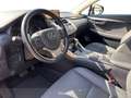 Lexus NX 300 300h 2.5 Premium 4wd cvt Grün - thumbnail 7