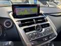 Lexus NX 300 300h 2.5 Premium 4wd cvt Grün - thumbnail 10