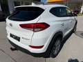 Hyundai TUCSON Tucson 1,7 CRDI Start-Stopp Business Class Weiß - thumbnail 3