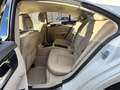 Mercedes-Benz CLS 250 Sport BlueEfficiency PREZZO REALE Blanc - thumbnail 10