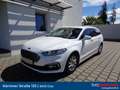 Ford Mondeo Traveller ST-Line 2,0 Hybrid Aut. Weiß - thumbnail 1