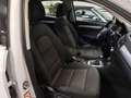 Audi Q3 2.0 tdi quattro 177cv s-tronic UNICO PROPRIETARIO Blanc - thumbnail 15