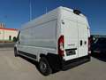 Fiat Ducato L3H2 KW 35 MAXI *Preis inkl. NoVA* (=CAMPER-Basis) Weiß - thumbnail 3
