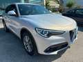 Alfa Romeo Stelvio Stelvio 2.2 Turbodiesel 190 CV AT8 Q4 Super Busin - thumbnail 3