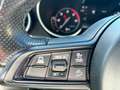 Alfa Romeo Stelvio Stelvio 2.2 Turbodiesel 190 CV AT8 Q4 Super Busin - thumbnail 15