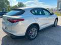 Alfa Romeo Stelvio Stelvio 2.2 Turbodiesel 190 CV AT8 Q4 Super Busin - thumbnail 4