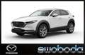 Mazda CX-30 e-Skyactive G140 AT Exclusive-Line Weiß - thumbnail 1