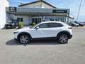 Mazda CX-30 e-Skyactive G140 AT Exclusive-Line Weiß - thumbnail 8