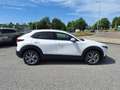 Mazda CX-30 e-Skyactive G140 AT Exclusive-Line Weiß - thumbnail 9