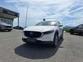 Mazda CX-30 e-Skyactive G140 AT Exclusive-Line Weiß - thumbnail 2