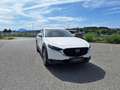 Mazda CX-30 e-Skyactive G140 AT Exclusive-Line Weiß - thumbnail 4