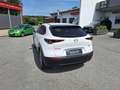Mazda CX-30 e-Skyactive G140 AT Exclusive-Line Weiß - thumbnail 7