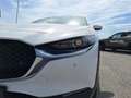 Mazda CX-30 e-Skyactive G140 AT Exclusive-Line Weiß - thumbnail 32
