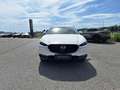Mazda CX-30 e-Skyactive G140 AT Exclusive-Line Weiß - thumbnail 3