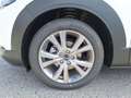 Mazda CX-30 e-Skyactive G140 AT Exclusive-Line Weiß - thumbnail 31