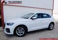 Audi Q5 35 TDI Advanced S tronic Weiß - thumbnail 12