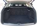 Audi Q5 35 TDI Advanced S tronic Weiß - thumbnail 15