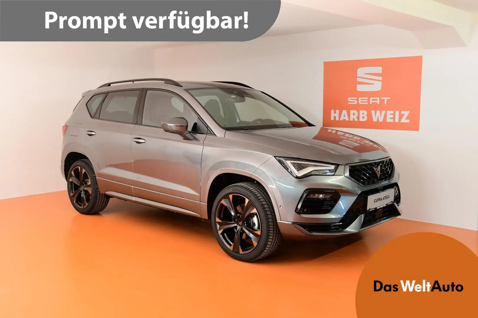 CUPRA Ateca 2.0 TSI DSG 4Drive 190 Grau - 1