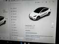 Tesla Model Y Model Y 2021 LONG RANGE DUAL MOTOR AWD#SENSORIPARK Bianco - thumbnail 15