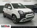 Fiat Panda Panda 1.0 FireFly Hybrid Pandina cross PROMO FLEX Grün - thumbnail 2