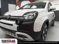 Fiat Panda Panda 1.0 FireFly Hybrid Pandina cross PROMO FLEX Grün - thumbnail 16