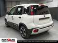 Fiat Panda Panda 1.0 FireFly Hybrid Pandina cross PROMO FLEX Grün - thumbnail 6