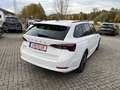 Skoda Octavia Combi 2,0 TDI DSG Clever + 17 Zoll + ACC + Navigat Blanc - thumbnail 3