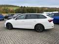 Skoda Octavia Combi 2,0 TDI DSG Clever + 17 Zoll + ACC + Navigat Blanc - thumbnail 7