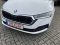 Skoda Octavia Combi 2,0 TDI DSG Clever + 17 Zoll + ACC + Navigat Blanc - thumbnail 22