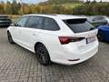 Skoda Octavia Combi 2,0 TDI DSG Clever + 17 Zoll + ACC + Navigat Blanc - thumbnail 4