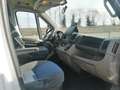 Fiat Ducato MAXI - BUS - 13pt con pedana disabili - più IVA Blanc - thumbnail 13