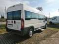 Fiat Ducato MAXI - BUS - 13pt con pedana disabili - più IVA Blanc - thumbnail 3