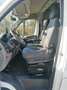 Fiat Ducato MAXI - BUS - 13pt con pedana disabili - più IVA Blanc - thumbnail 5