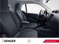 smart forTwo EQ fortwo Plus-Paket Tempomat 22kW-Bordlader Grün - thumbnail 8