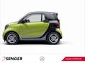 smart forTwo EQ fortwo Plus-Paket Tempomat 22kW-Bordlader Grün - thumbnail 3