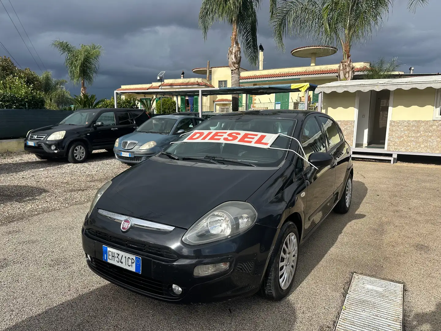 Fiat Punto Evo Punto Evo 5p 1.3 mjt MyLife s Negro - 2