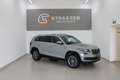 Skoda Kodiaq 4x4 Style SC TDI DSG Grau - thumbnail 1