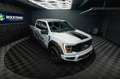 Ford F 150 F150 5.0L V8 4x4 Offroad SuperCrew RAPTOR 19% Weiß - thumbnail 12