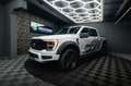 Ford F 150 F150 5.0L V8 4x4 Offroad SuperCrew RAPTOR 19% Weiß - thumbnail 2